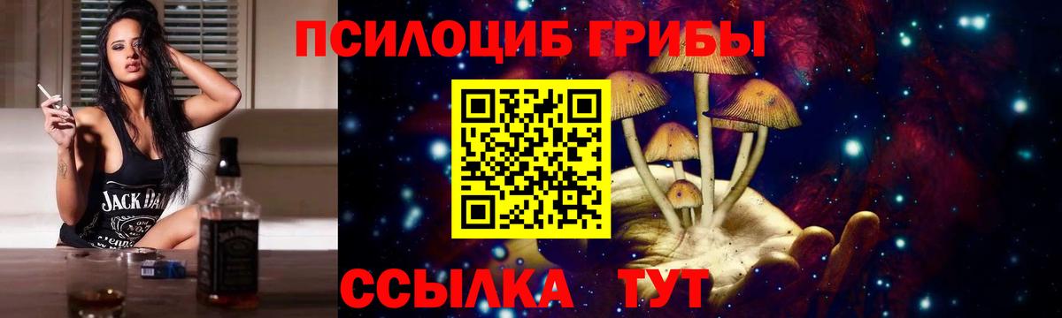 Саратов  Галлюциногенные грибы Psilocybine cubensis  закладка  Вход с VPN 