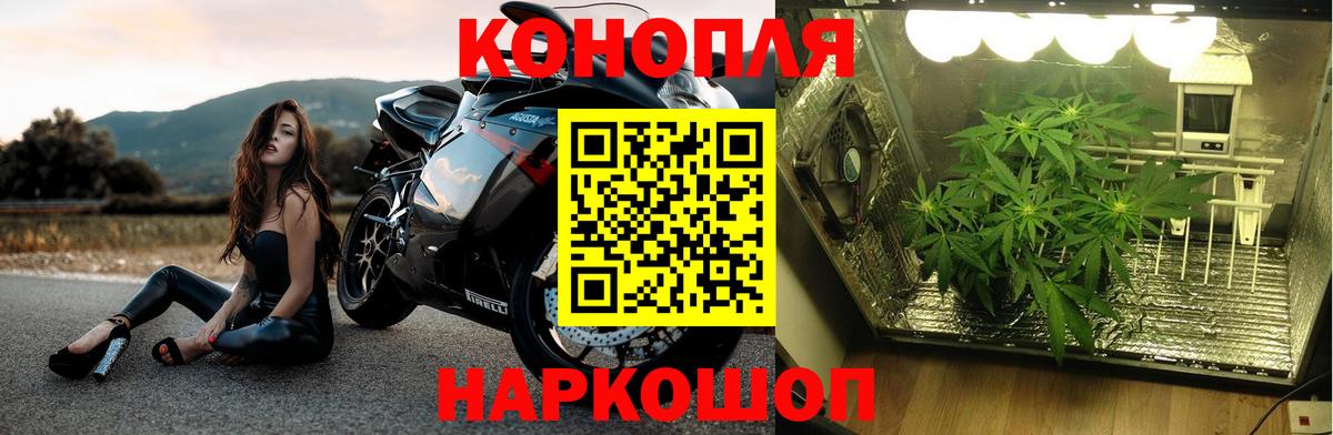 Саратов  Конопля тримм  Бошки марихуана гибрид  Вход с VPN  Канабис план  Каннабис ГИДРОПОН 